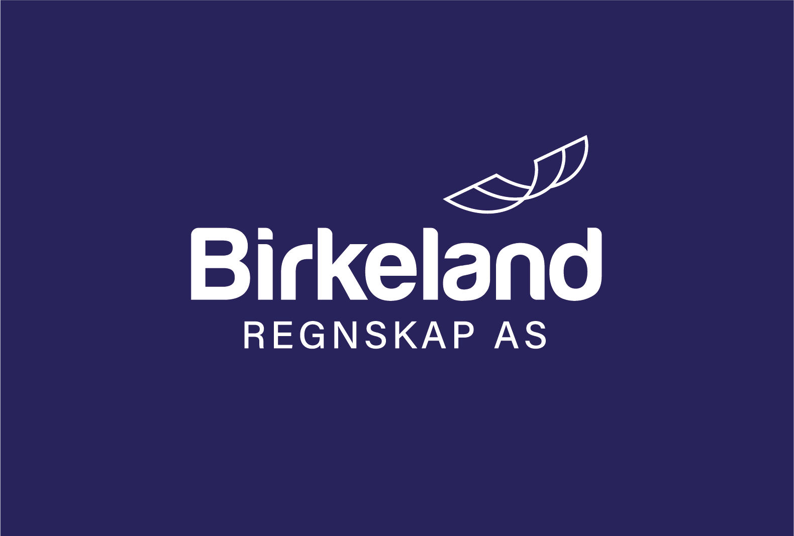 Logo til Birkeland Regnskap AS på mørkeblå bakgrunn med bladdesign over navnet.