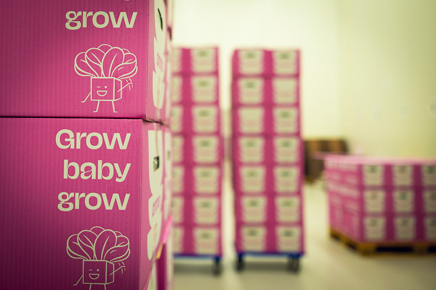 I en lagerbygning står det stabler av rosa esker med en tegneseriegrønnsak og påskriften "Grow baby grow".
