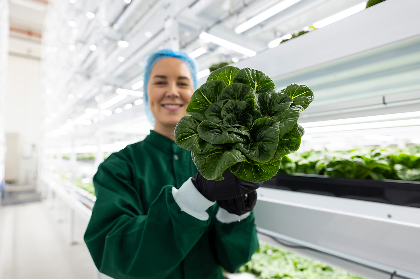 To personer i grønne beskyttelsesdrakter og hårnett går og snakker inne i en vertikal innendørs gård med rader av grønne planter.