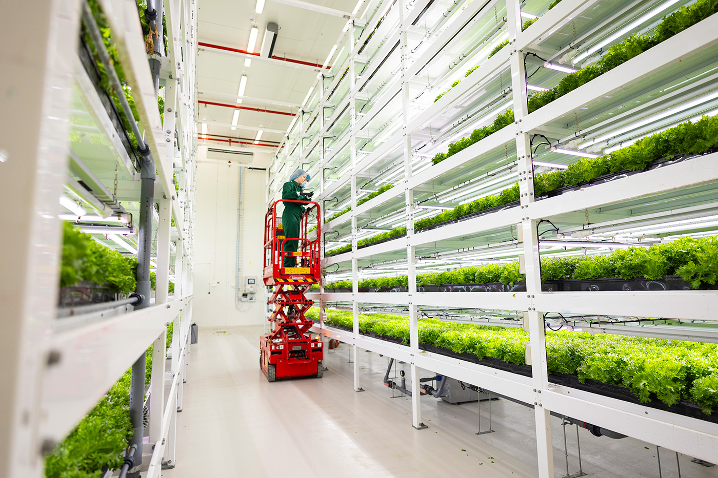 Tre personer i grønne uniformer og blå hårplagg går gjennom en innendørs vertikal gård med rader av grønne planter på hyller i flere nivåer.