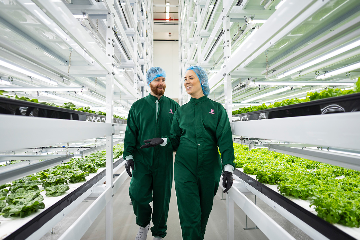 En person i verneklær holder fersk salat i et hydroponisk innendørsanlegg, med rader av bladgrønnsaker som vokser under LED-lys i bakgrunnen.