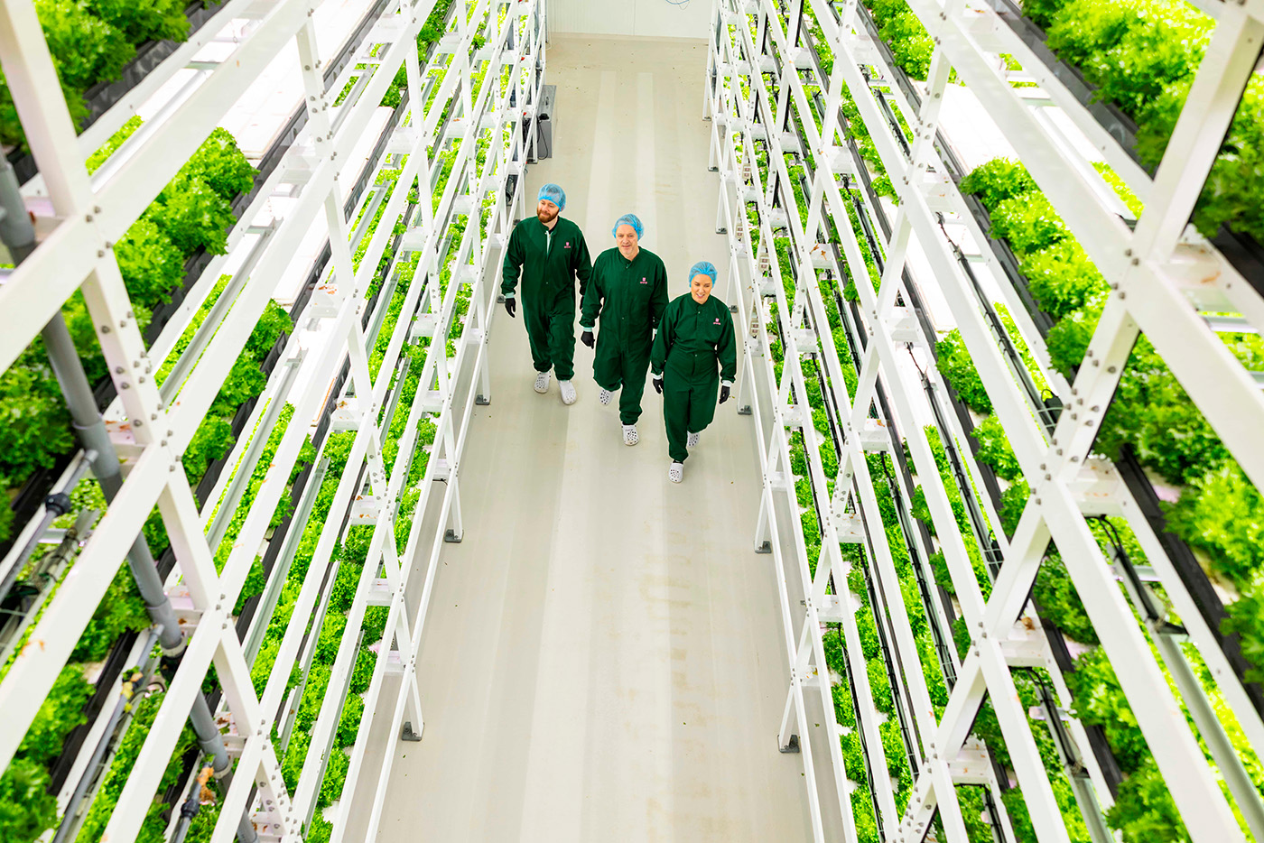Tre personer i grønne uniformer og blå hårplagg går gjennom en innendørs vertikal gård med rader av grønne planter på hyller i flere nivåer.